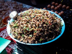 14569375446_1cbc588cf9